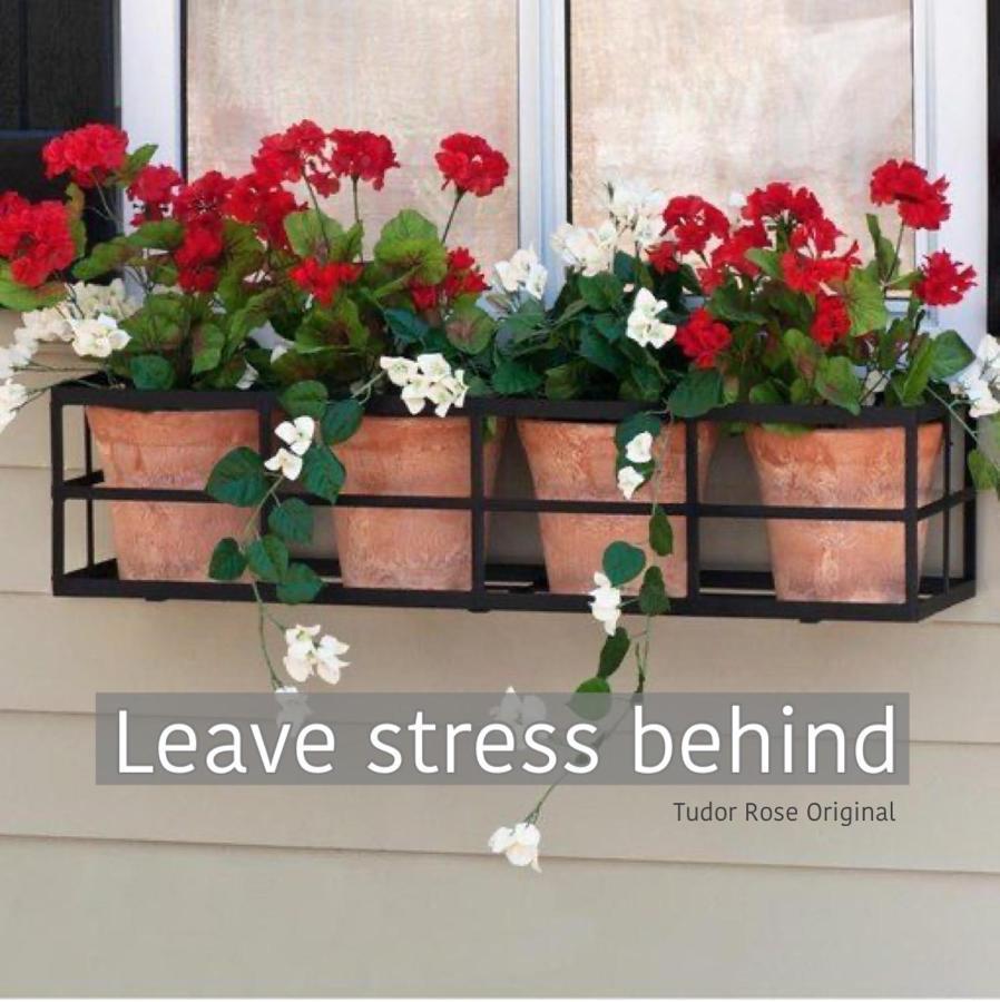 Myroomz Tudor Rose Original بلاكبول المظهر الخارجي الصورة